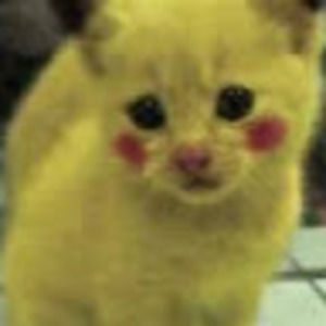 Meet your Posher, Anonymous